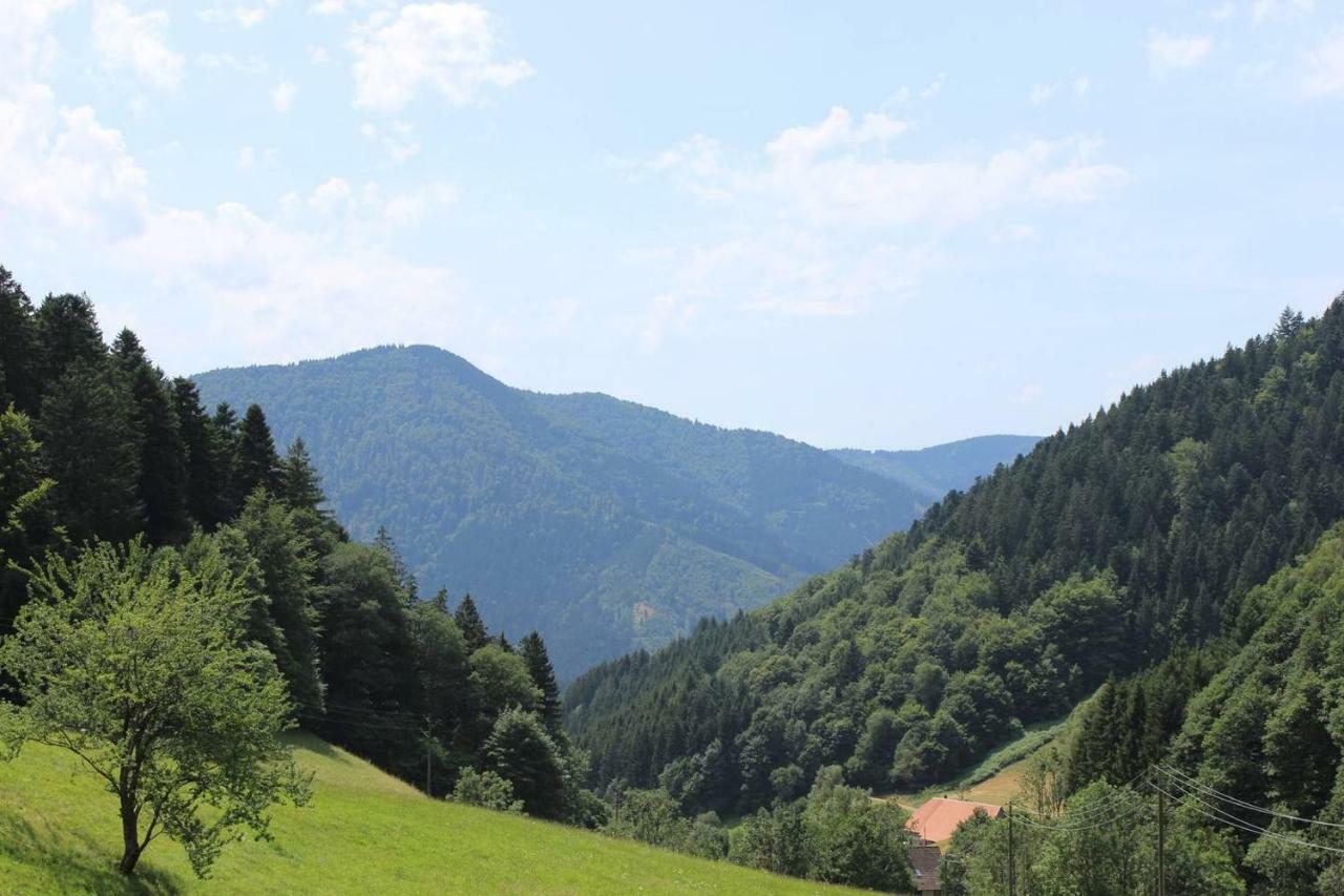 Ferienparadies Hugenhof Simonswald Buitenkant foto